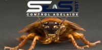 SES cockroach control Adelaide image 6